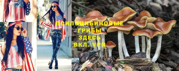 марки nbome Костерёво