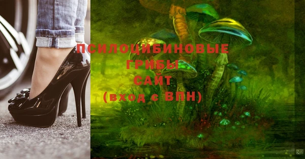 2c-b Коряжма