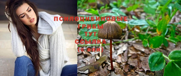 MDMA Козельск